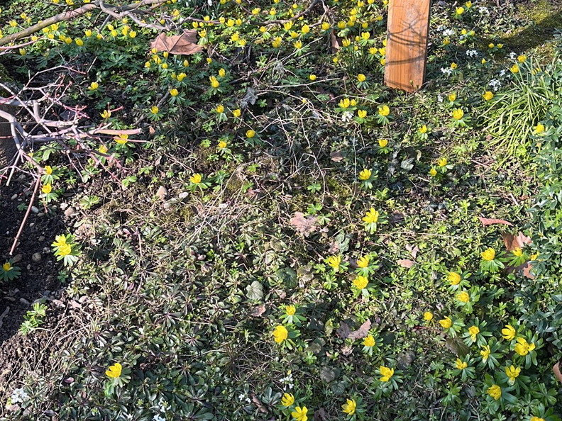 23-02-13 12-51-31 4188